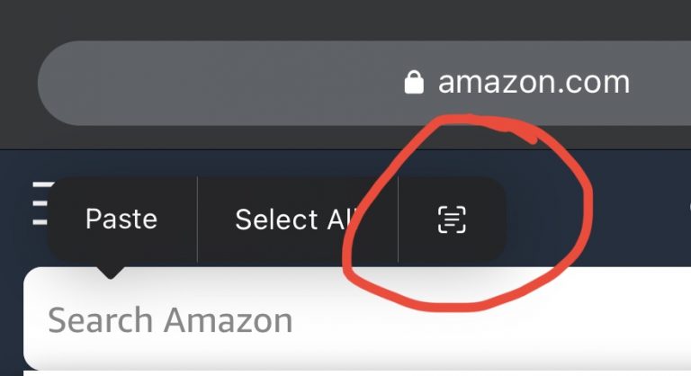 iPhone scan Live Text from keyboard